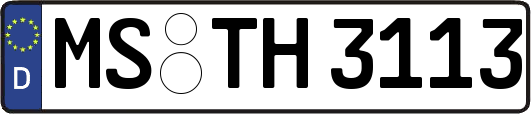 MS-TH3113