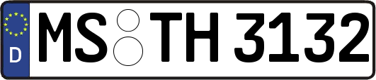 MS-TH3132