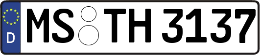 MS-TH3137