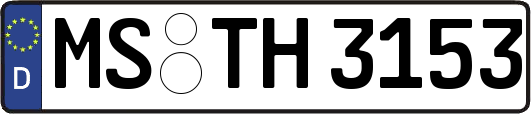 MS-TH3153
