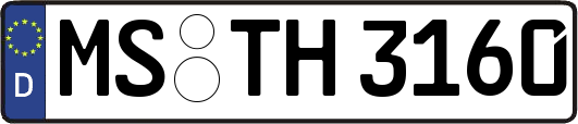 MS-TH3160