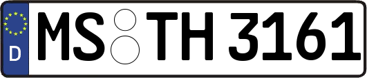 MS-TH3161