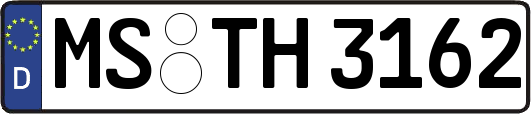 MS-TH3162