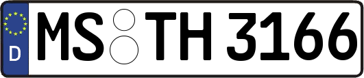 MS-TH3166