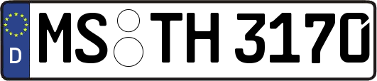 MS-TH3170