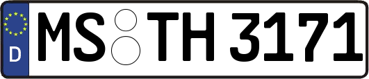 MS-TH3171