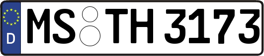 MS-TH3173