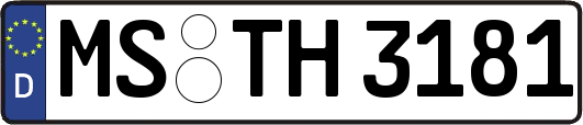 MS-TH3181
