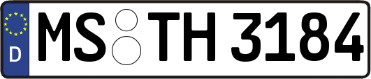 MS-TH3184