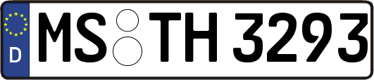 MS-TH3293