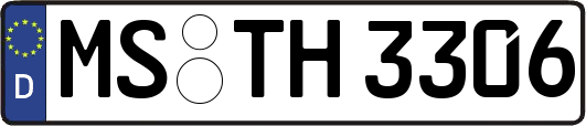 MS-TH3306