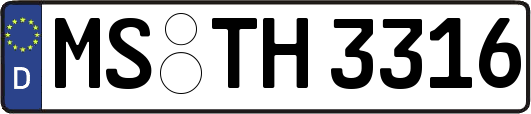 MS-TH3316