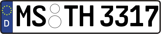 MS-TH3317