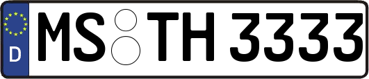 MS-TH3333