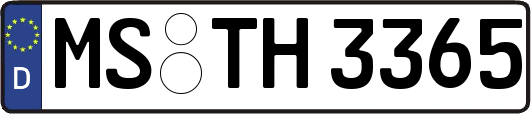 MS-TH3365