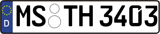 MS-TH3403