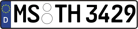 MS-TH3429