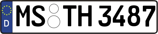 MS-TH3487