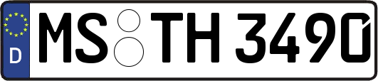 MS-TH3490