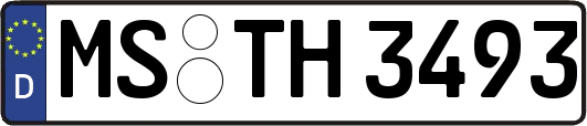 MS-TH3493