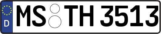MS-TH3513