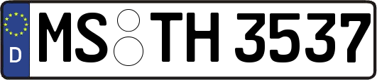 MS-TH3537