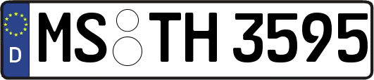 MS-TH3595