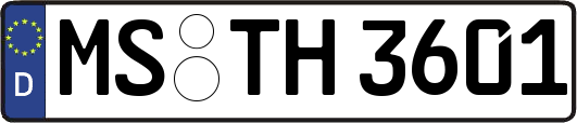 MS-TH3601