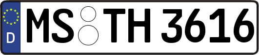 MS-TH3616