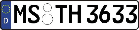 MS-TH3633
