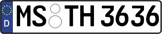 MS-TH3636