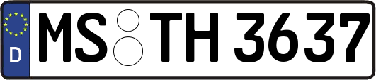 MS-TH3637