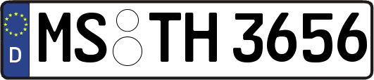 MS-TH3656