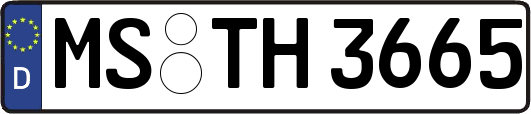 MS-TH3665