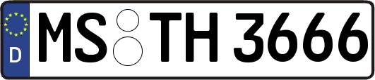 MS-TH3666