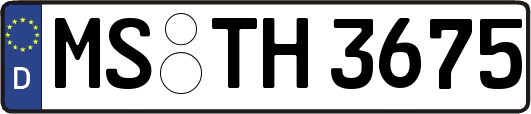 MS-TH3675
