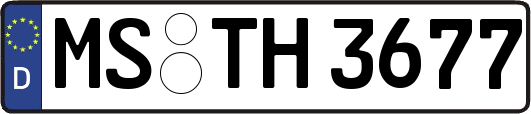 MS-TH3677