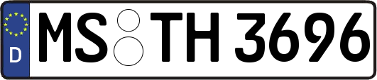 MS-TH3696