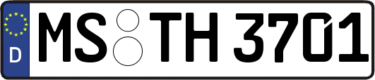 MS-TH3701