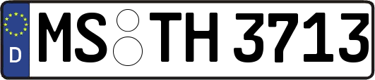 MS-TH3713