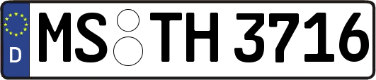 MS-TH3716