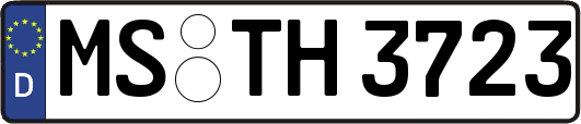 MS-TH3723