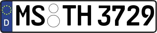MS-TH3729