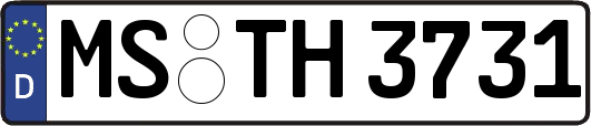 MS-TH3731