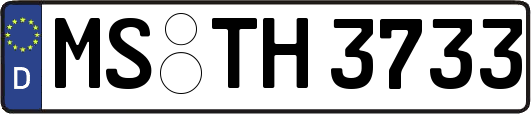 MS-TH3733