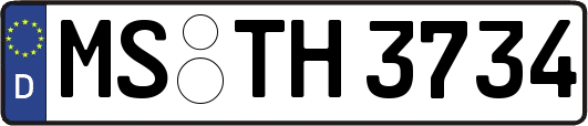 MS-TH3734