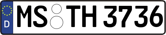MS-TH3736