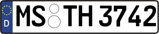 MS-TH3742