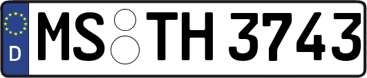 MS-TH3743