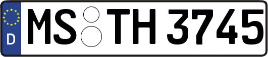 MS-TH3745